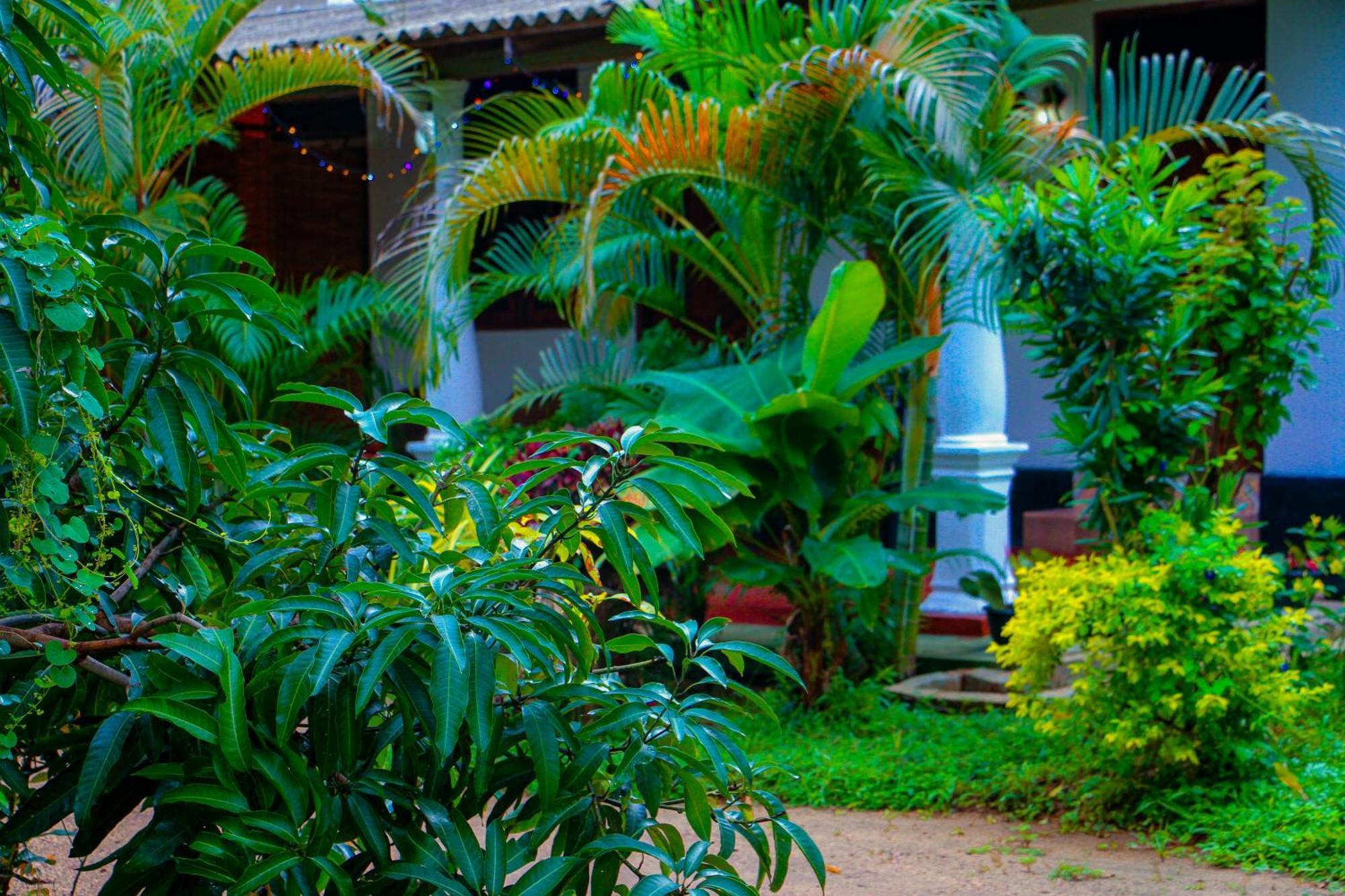 Chanaka Holiday Inn Sigirîya Extérieur photo